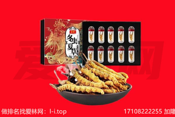 林芝波密县回收虫草.jpg